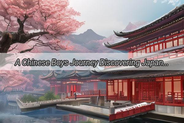 A Chinese Boys Journey Discovering Japans Hidden Treasures